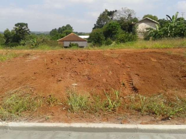 TERRENOS 