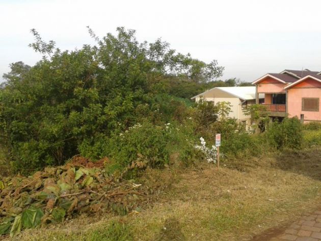 TERRENO 